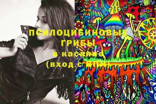 хмурый Карпинск