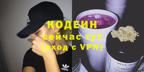 хмурый Карпинск