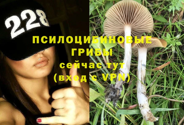 хмурый Карпинск