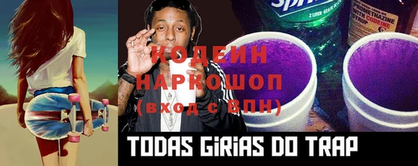хмурый Карпинск