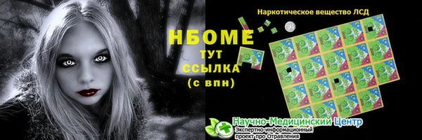 хмурый Карпинск