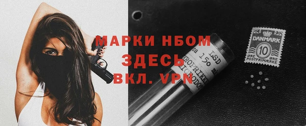 хмурый Карпинск
