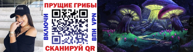 Псилоцибиновые грибы Psilocybine cubensis  Купить закладки  Дагестанские Огни 